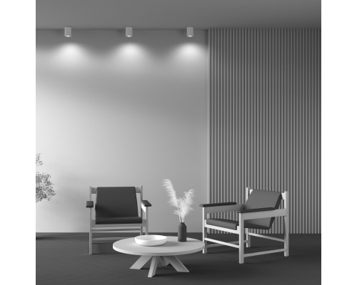 Потолочный светильник Technical C016CL-01W