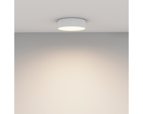 Потолочный светильник Technical C032CL-24W3K-RD-W