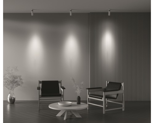 Потолочный светильник Technical C055CL-L12W4K-Z-W