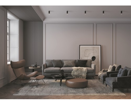 Потолочный светильник Technical C052CL-01B