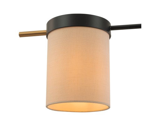 Потолочный светильник Freya FR5377CL-04B