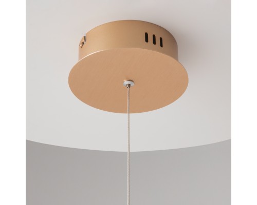 Подвесной светильник Maytoni MOD017PL-L13G