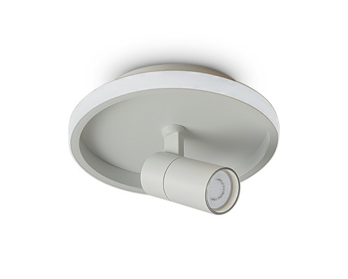 Потолочный светильник Freya FR6040CL-L14W