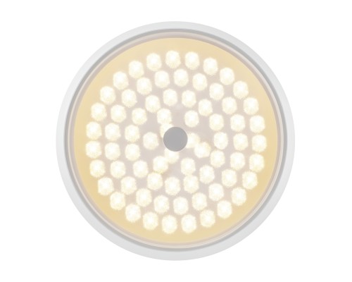 Потолочная светодиодная люстра Freya Cells FR10012CL-L24W