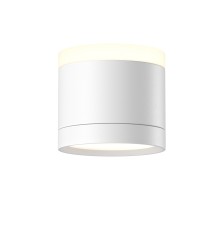 Потолочный светильник Technical C120CL-GX53-W