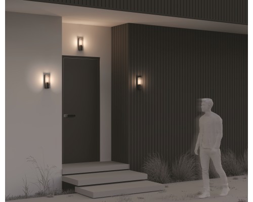 Настенный светильник (бра) Outdoor O450WL-01GF