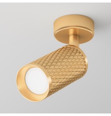 Потолочный светильник Technical C034CL-01G