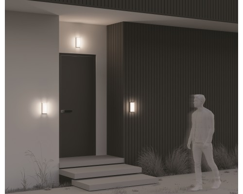 Настенный светильник (бра) Outdoor O454WL-L10GF3K1