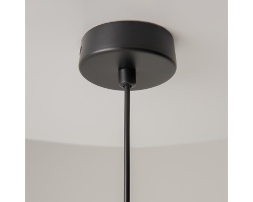 Подвесной светильник Maytoni MOD303PL-01CFL2