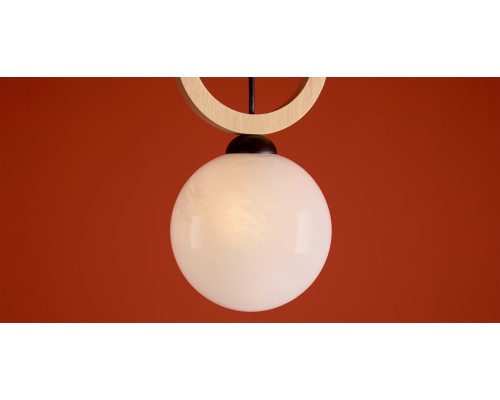 Подвесной светильник Freya FR5593PL-01B