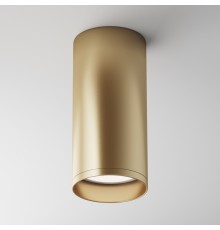 Потолочный светильник Technical C010CL-01MG