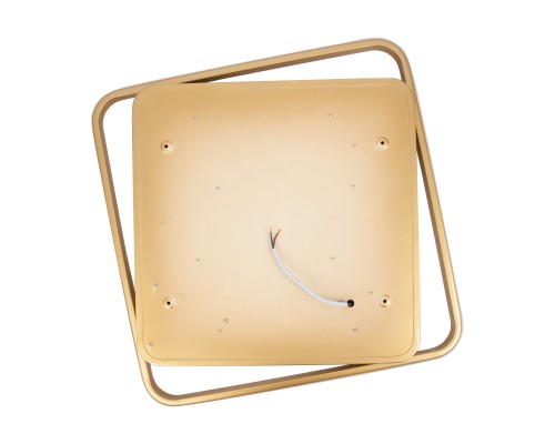 Потолочный светильник Freya FR10026CL-L93G