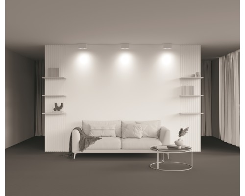 Потолочный светильник Technical C017CL-02W