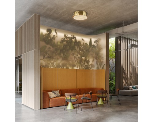 Потолочный светильник Maytoni MOD017CL-05BS