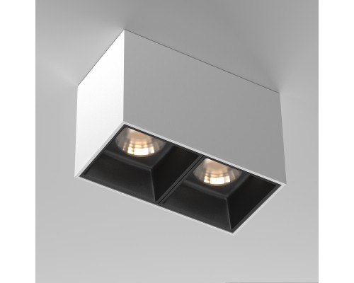 Потолочный светильник Technical C065CL-02-L12W3K-W