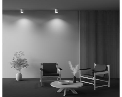 Потолочный светильник Technical C001CW-01W