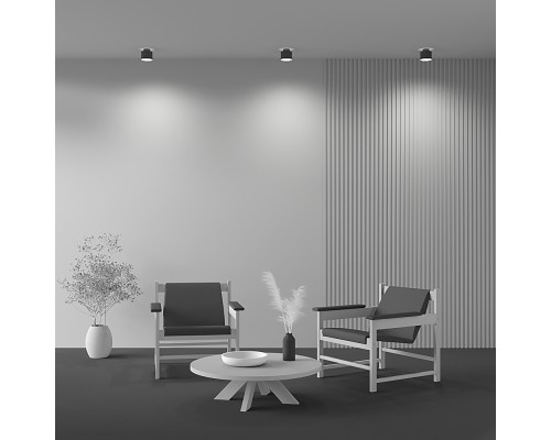 Потолочный светильник Technical C009CW-L12B