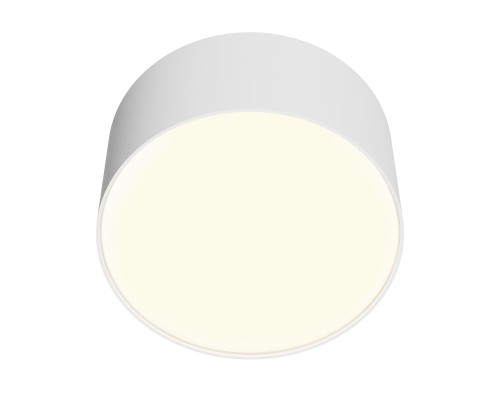 Потолочный светильник Technical C032CL-12W3K-RD-W