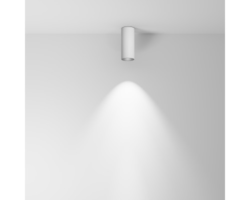 Потолочный светильник Technical C056CL-L12W4K-W-D-W