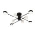 Потолочный светильник Freya FR6048CL-L8B