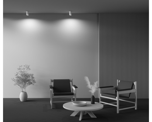 Потолочный светильник Technical C003CW-01W