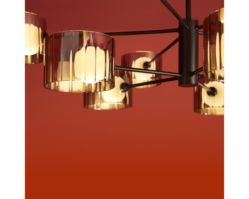 Потолочный светильник Freya FR5544CL-10B