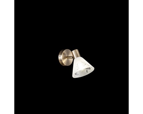Спот Freya FR7001WL-01BZ