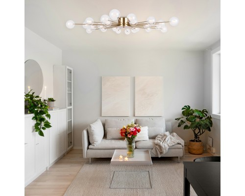 Потолочный светильник Freya FR5242CL-24BS1