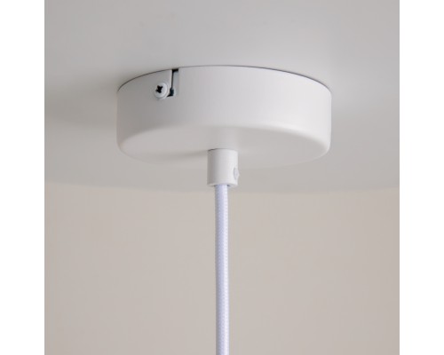 Подвесной светильник Maytoni MOD298PL-01W2