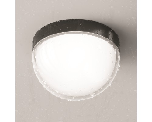 Потолочный светильник Outdoor O438CL-L12GF3K