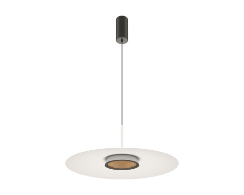 Подвесной светильник Maytoni MOD041PL-L15W3K1