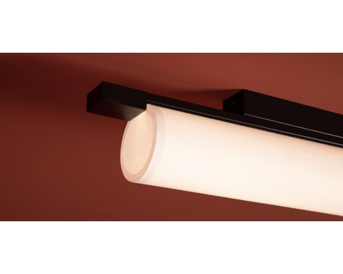 Потолочный светильник Freya FR5625CL-L20B