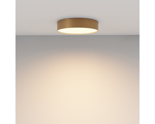 Потолочный светильник Technical C032CL-36W3K-RD-MG