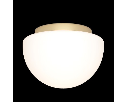 Потолочный светильник Maytoni MOD270CL-01G