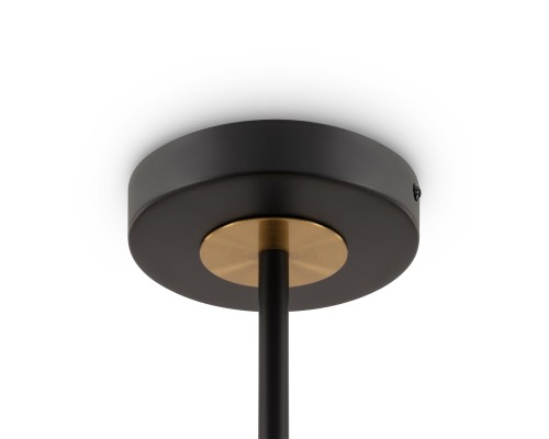 Потолочный светильник Freya FR5370CL-06B