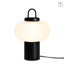 Настольный светильник Freya FR6175TL-L10B