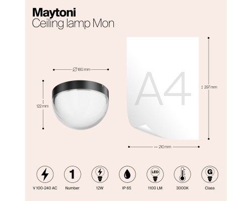 Потолочный светильник Outdoor O438CL-L12GF3K