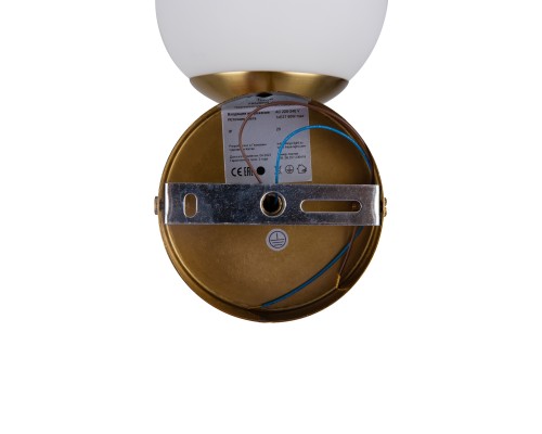 Настенный светильник (бра) Freya FR5205WL-01BS