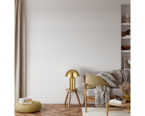 Настольный светильник Freya FR5218TL-01BS