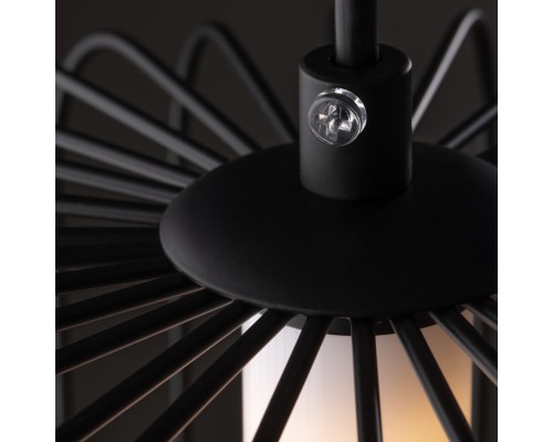 Подвесной светильник Freya FR6131PL-L13B