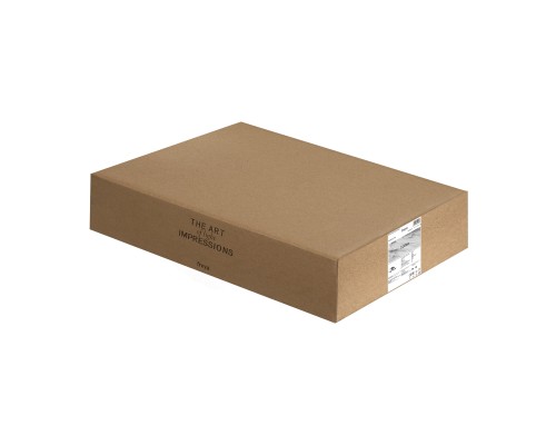 Люстра Freya FR6155CL-L36B