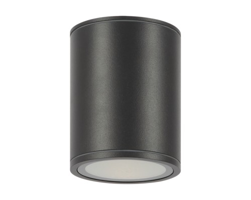 Потолочный светильник Outdoor O306CL-L12GF