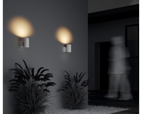 Настенный светильник (бра) Outdoor O419WL-01W