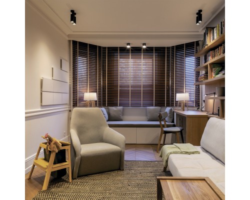 Потолочный светильник Technical C017CW-01B