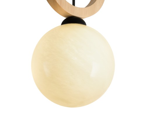 Подвесной светильник Freya FR5593PL-01B