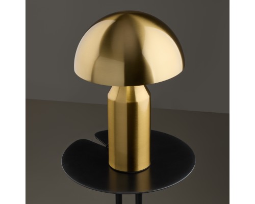 Настольный светильник Freya FR5218TL-01BS