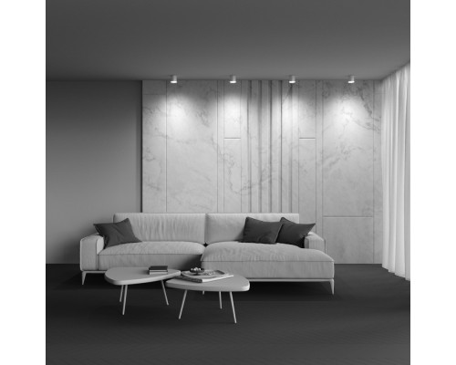 Потолочный светильник Technical C088CL-GX53-MG