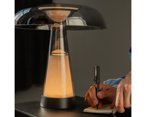 Настольный светильник Maytoni MOD484TL-L8BK