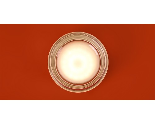 Настенный светильник (бра) Freya FR5603WL-L8TR