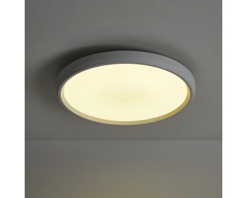 Потолочный светильник Freya FR6211CL-L24W